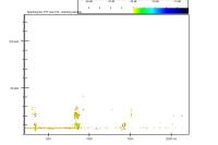 Pipistrellus nathusii