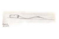 Castor fiber