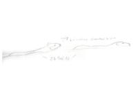 Castor fiber