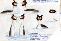 Podiceps cristatus