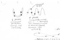 Circus cyaneus