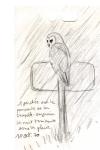 Tyto alba