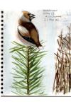 Coccothraustes coccothraustes