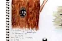 Dendrocopos major