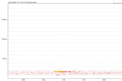 Noctule commune