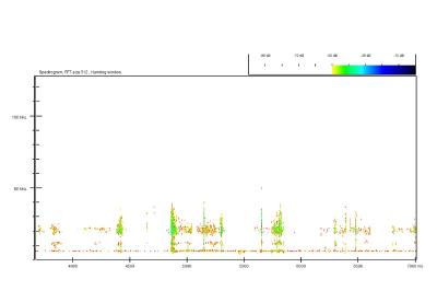 Pipistrelle commune