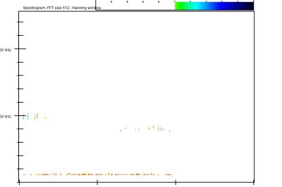 Pipistrelle de Nathusius