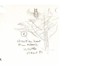 Petit-duc scops