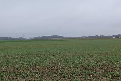 Grande Aigrette