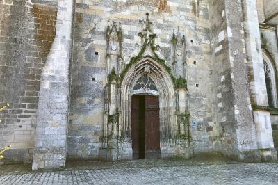 Hirondelle de fenêtre