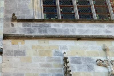 Hirondelle de fenêtre