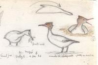 relevé 140347